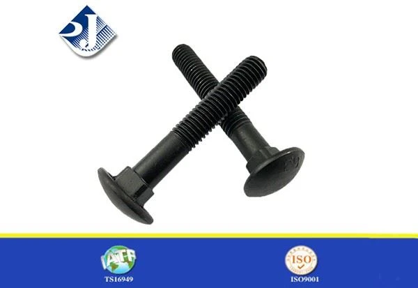 Carriage Bolts