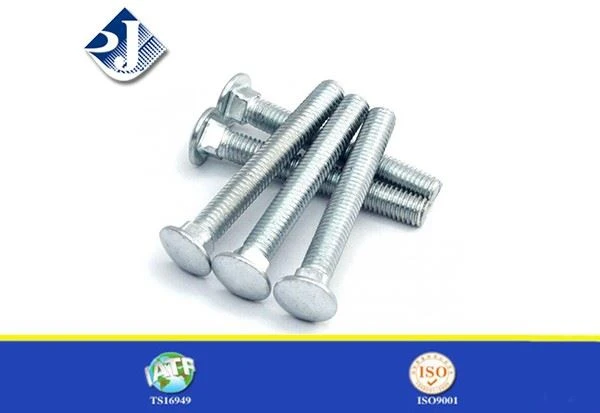 Carriage Bolts
